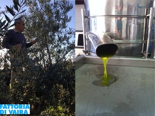 Paola Santi Az. biodinamica Di Vaira: la filiera aggregata e l’integrazione col consumatore