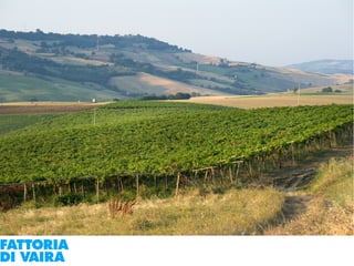 Paola Santi Az. biodinamica Di Vaira: la filiera aggregata e l’integrazione col consumatore