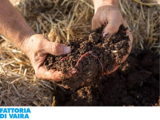 Paola Santi Az. biodinamica Di Vaira: la filiera aggregata e l’integrazione col consumatore