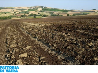 Paola Santi Az. biodinamica Di Vaira: la filiera aggregata e l’integrazione col consumatore