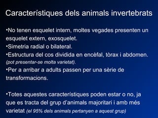 Característiques dels animals invertebrats 
•No tenen esquelet intern, moltes vegades presenten un 
esquelet extern, exosquelet. 
•Simetria radial o bilateral. 
•Estructura del cos dividida en encèfal, tòrax i abdomen. 
(pot presentar-se molta varietat). 
•Per a arribar a adults passen per una sèrie de 
transformacions. 
•Totes aquestes característiques poden estar o no, ja 
que es tracta del grup d’animals majoritari i amb més 
varietat (el 95% dels animals pertanyen a aquest grup) 
 