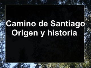Camino de Santiago
 Origen y historia
 