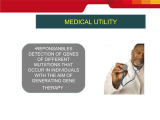 MEDICAL UTILITY REPONSANBLES DETECTION OF GENES OF DIFFERENT MUTATIONS THAT OCCUR IN INDIVIDUALS WITH THE AIM OF GENERATING GENE THERAPY   