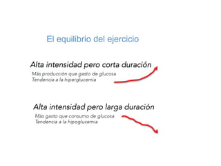 El equilibrio del ejercicio
 