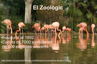 El Zoològic




●Inaugurat al 1892.
●Consta de 7000 ejemplars

 de 400 espècies diferents.


http://www.conocerbarcelona.com/fotos/zoo-barcelona-flamencos.jpg
 