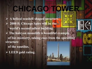 CHICAGO TOWER
 A helical seashell shaped structure.
 2000 ft. Chicago Spire will be the
world’s second tallest building
 The halcyon monolith is beautiful example
of bio mimicry, taking cues from the spiralling
structure
of the nautilus.
 LEED gold rating.
 