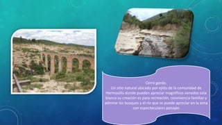 Cerró gordo.
Un sitio natural ubicado por ejido de la comunidad de
Hermosillo donde pueden apreciar magníficos venados cola
blanca su creación es para recreación, convivencia familiar y
admirar los bosques y el río que se puede apreciar en la zona
con espectaculares paisajes
 