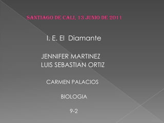       Santiago de Cali, 13 junio de 2011                    I. E. El  Diamante JENNIFER MARTINEZ                   LUIS SEBASTIAN ORTIZ CARMEN PALACIOS                                  BIOLOGIA                                        9-2 