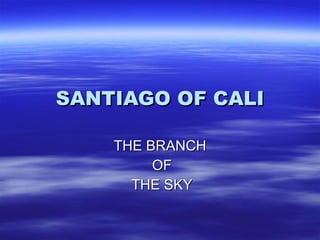 SANTIAGO OF CALI THE BRANCH OF THE SKY 