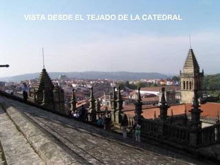 VISTA DESDE EL TEJADO DE LA CATEDRAL 