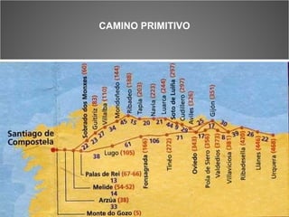 CAMINO PRIMITIVO 
