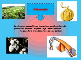 La estructura productiva de la provincia está basada en la
producción primaria: algodón, soja, maíz y cebolla.
        En ganadería es destacada en cría de bovinos.
 
