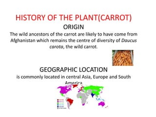 HISTORY OF THE PLANT(CARROT)ORIGIN The wild ancestors of the carrot are likely to have come from Afghanistan which remains the centre of diversity of Daucus carota, the wild carrot. GEOGRAPHIC LOCATIONis commonly located in central Asia, Europe and South America 