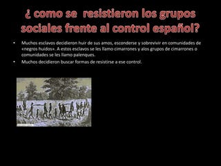 • Muchos esclavos decidieron huir de sus amos, esconderse y sobrevivir en comunidades de
«negros huidos». A estos esclavos...