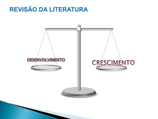 REVISÃO DA LITERATURA 
 