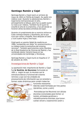 Santiago Ramón y Cajal 
Santiago Ramón y Cajal nació un primero de 
mayo de 1852 en Petilla de Aragón. Su padre era 
médico rural. Durante la adolescencia, Ramón y 
Cajal tenía inclinaciones por el arte, 
principalmente el dibujo, pero fue su padre quien 
lo instó a ser médico. También fue él quien le 
enseñó el arte de la anatomía, y fue allí donde se 
hicieron útiles las dotes artísticas de Cajal. 
Durante el cumplimiento de su servicio militar en 
Cuba contrajo malaria y disentería, por lo que 
tuvo que volver a España. Poco después se casó 
y tuvo cuatro hijas y tres hijos. 
Cajal ganó un premio Nobel de medicina en 
1906, compartido con Golgi "en reconocimiento a 
su trabajo sobre la estructura del sistema 
nervioso". También ganó premios como Miembro 
de la Real Academia de Ciencias de Madrid y fue 
nombrado doctor Honoris Causa en las 
universidades de Cambridge y Würzburg. 
Santiago Ramón y Cajal murió en España el 17 
de octubre de 1934. 
Investigaciones de Ramón y Cajal 
La aportación más importante de Ramón y Cajal 
fue la Doctrina de Neuronas formulada en 
1891 y según la cual, la neurona son la 
estructura básica y funcional del sistema 
nervioso y que son las unidades de 
procesamiento de información que se conectan y 
forman redes dinámicas para cumplir todas las 
funciones necesarias. 
Además están formadas por tres partes 
(dendritas, soma y axón) 
Postulaba que las Neuronas son células 
discretas (conectadas para formar un 
tejido), entidades genéticas y 
metabólicamente distintas, que tienen 
cuerpo celular y expansiones (axón y 
 
