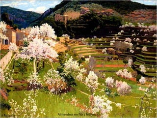 Almendros en flor ( Mallorca)
 