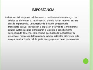 IMPORTANCIA
La funcion del trasporte celular es en si la alimentacion celular, si tus
celulas se alimentan tu te alimentas, si no lo hacen mueres. esa en
si es la importancia. La osmosis y la difusion (procesos de
transporte pasivo) introducen o expulsan a travez de la membrana
celular sustancias que alimentaran a la celula o sencillamente
sustancias de desecho, es lo mismo que hacen la fagocitosis y la
pinocitosis (procesos del transporte celular activo) la diferencia esta
en que en el activo la celula gasta energia ya que tiene que moverse
 