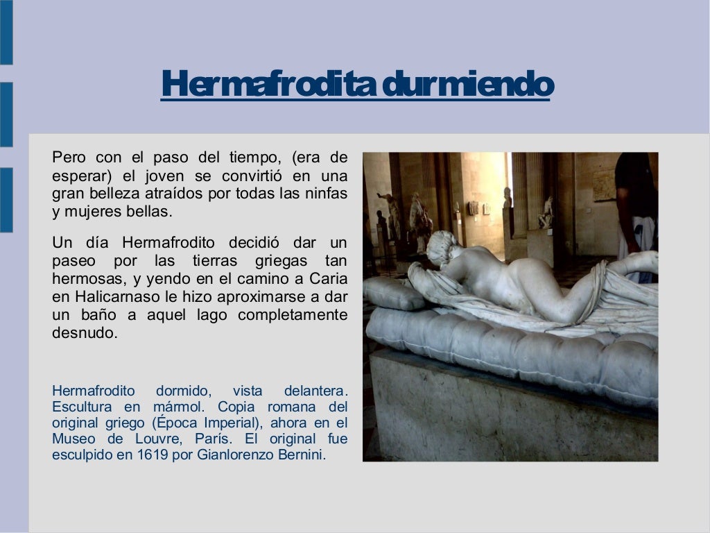 Que Son Hermafroditas Que Son Hermafroditas