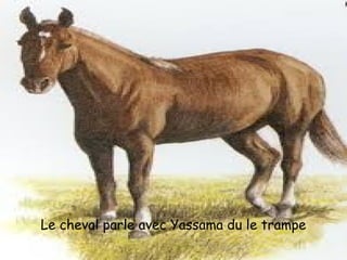 Le cheval parle avec Yassama du le trampe
 