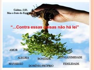 Galátas. 5:23.
Mas o fruto do Espírito é:




   “...Contra essas coisas não há lei”




  AMOR          PAZ                     PACIÊNCIA

          ALEGRIA                       LONGANIMIDADE
                             BONDADE
 MANSIDÃO                                  FIDELIDADE
                      DOMÍNIO PRÓPRIO
 
