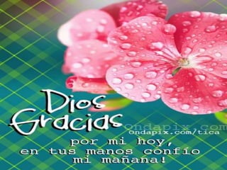 Santificarás el día del señor