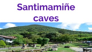 Santimamiñe
caves
.
 