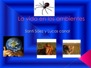 La vida en los ambientes,[object Object],Santi Sáez y Lucas canal ,[object Object]