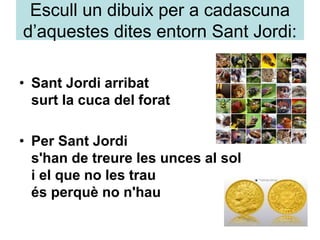 Escull un dibuix per a cadascuna
d’aquestes dites entorn Sant Jordi:
• Sant Jordi arribat
surt la cuca del forat
• Per Sant Jordi
s'han de treure les unces al sol
i el que no les trau
és perquè no n'hau
 
