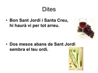 Dites
• Bon Sant Jordi i Santa Creu,
hi haurà vi per tot arreu.
• Dos mesos abans de Sant Jordi
sembra el teu ordi.
 