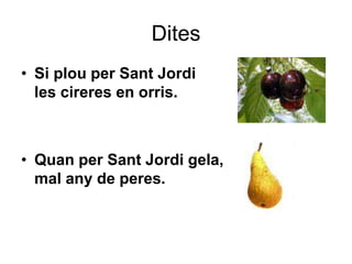 Dites
• Si plou per Sant Jordi
les cireres en orris.
• Quan per Sant Jordi gela,
mal any de peres.
 