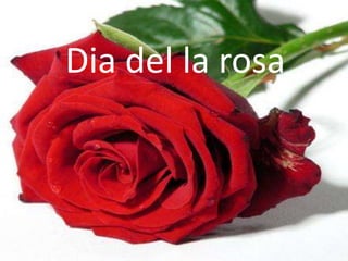 El dia del llibre
Dia del la rosa
 
