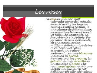 Les roses  La  rosa  és una flor molt valorada arreu del món,des de molt antic, per la seva bellesa i l’intens perfum. És una planta de fulla caduca, les seves tiges tenen espines i les fulles són compostes. La flor sol tenir cinc pètals. Per  fer saber els seus sentiments, els enamorats poden utilitzar el llenguatge de les roses. Segons el color, expressen un o altre sentiment. Les roses   blanques  indiquen la  puresa  d’intencions; les  grogues , la  gelosia ; la rosa  vermella  és un missatge d’ amor , i la rosa  sense espines  vol dir que la persona que la rep pot demanar tot allò que vulgui de qui l ’ envia. 