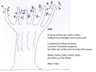 Vida
El camp és lliure per saltar i botar,
la pluja ens arrossega i anem camí avall.
L’endemà els arbres es lleven,
i ja tenen l’esmorzar preparat,
les fulles són verdes com la molsa dels camps.
Molsa, herba, fulles, arbres, pluja...
els arbres ja s’han llevat.
Marc Vidal
 