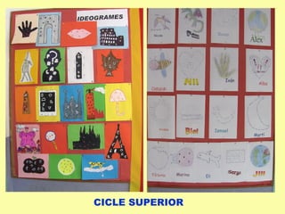 CICLE SUPERIOR
 