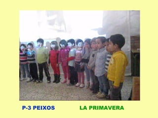 P-3 PEIXOS LA PRIMAVERA
 