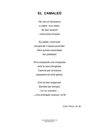 EL CAMALEÓ
He vist un dinosaure
a sobre d’un arbre.
És ben acolorit
i amb pinta d’eixerit.
És petitó i molt bufó
tranquil·let i massa avorridet.
Mira quines escametes
tan petitetes!
S’ha empassat una mosqueta
amb la seva llengüeta.
Camina per la branca
passejant-se amb gràcia.
Ens ha ben enganyat.
Sembla tan tranquil,
i en un moment …
...s’ha endrapat l’aranya i el fil!
Víctor Pérez (4t. B)
Escola Miquel Martí i Pol
Sant Jordi 2014
 