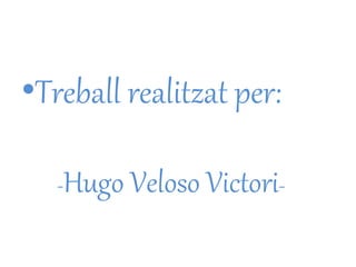 •Treball realitzat per:
-Hugo Veloso Victori-
 