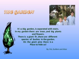 It´s a big garden, is separated with stairs.
In my garden there are trees ,and big plants
and flowers.
There is a giant fir ,there are different
species of bushes in the garden.
On the giant pine there is a
Place to hide us!
. By: Pol, Guillem and Aitor
 