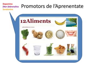 Promotors de l’Aprenentate
Dopamina
(Nor-)Adrenalina
Serotonina
 