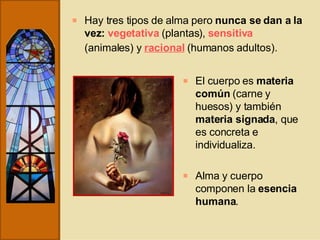 Hay tres tipos de alma pero  nunca se dan a la vez:  vegetativa   (plantas),   sensitiva   (animales) y   racional   (humanos adultos).   El cuerpo es  materia común  (carne y huesos) y también  materia signada , que es concreta e individualiza. Alma y cuerpo componen la  esencia humana .  