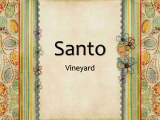 Santo
Vineyard
 