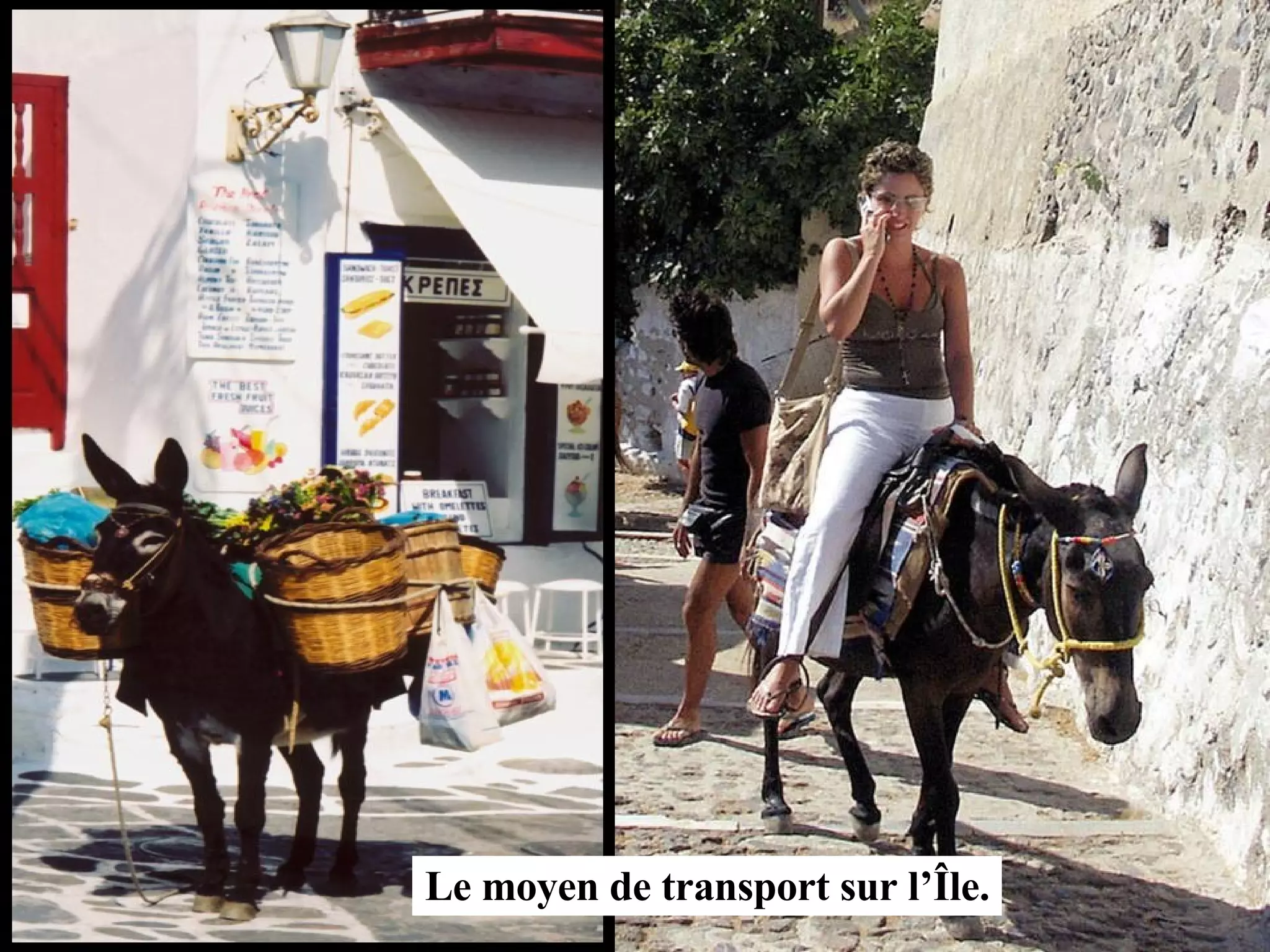 Le moyen de transport sur l’Île.