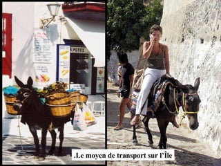 Le moyen de transport sur l’Île. 