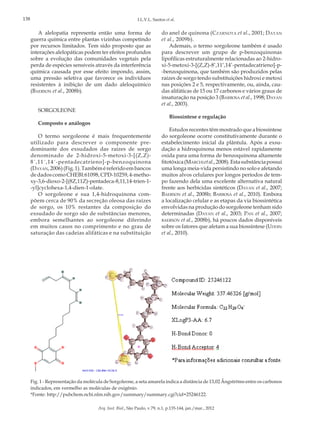 138

I.L.V.L. Santos et al.

A alelopatia representa então uma forma de
guerra química entre plantas vizinhas competindo
por recursos limitados. Tem sido proposto que as
interações alelopáticas podem ter efeitos profundos
sobre a evolução das comunidades vegetais pela
perda de espécies sensíveis através da interferência
química causada por esse efeito impondo, assim,
uma pressão seletiva que favorece os indivíduos
resistentes à inibição de um dado aleloquímico
(Baerson et al., 2008b).
SORGOLEONE

do anel de quinona (Czarnota et al., 2001; Dayan
et al., 2009b).
Ademais, o termo sorgoleone também é usado
para descrever um grupo de p-benzoquinonas
lipofílicas estruturalmente relacionadas ao 2-hidroxi-5-metoxi-3-[(Z,Z)-8’,11’,14’-pentadecatrieno]-p-benzoquinona, que também são produzidos pelas
raízes de sorgo tendo substituições hidroxi e metoxi
nas posições 2 e 5, respectivamente, ou, ainda, caudas alifáticas de 15 ou 17 carbonos e vários graus de
insaturação na posição 3 (Barbosa et al., 1998; Dayan
et al., 2003).
Biossíntese e regulação

Composto e análogos
O termo sorgoleone é mais frequentemente
utilizado para descrever o componente predominante dos exsudados das raízes de sorgo
denominado de 2-hidroxi-5-metoxi-3-[(Z,Z)8´,11´,14´-pentadecatrieno]-p-benzoquinona
(Dayan, 2006) (Fig. 1). Também é referido em bancos
de dados como CHEBI:61098, CPD-10259, 4-methoxy-3,6-dioxo-2-[(8Z,11Z)-pentadeca-8,11,14-trien-1-yl]cyclohexa-1,4-dien-1-olate.
O sorgoleone e sua 1,4-hidroquinona compõem cerca de 90% da secreção oleosa das raízes
de sorgo, os 10% restantes da composição do
exsudado de sorgo são de substâncias menores,
embora semelhantes ao sorgoleone diferindo
em muitos casos no comprimento e no grau de
saturação das cadeias alifáticas e na substituição

Estudos recentes têm mostrado que a biossíntese
do sorgoleone ocorre constitutivamente durante o
estabelecimento inicial da plântula. Após a exsudação a hidroquinona menos estável rapidamente
oxida para uma forma de benzoquinona altamente
fitotóxica (Marchi et al., 2008). Esta substância possui
uma longa meia-vida persistindo no solo e afetando
muitos alvos celulares por longos períodos de tempo fazendo dela uma excelente alternativa natural
frente aos herbicidas sintéticos (Dayan et al., 2007;
Baerson et al., 2008b; Barbosa et al., 2010). Embora
a localização celular e as etapas da via biossintética
envolvidas na produção do sorgoleone tenham sido
determinadas (Dayan et al., 2003; Pan et al., 2007;
baerson et al., 2008b), há poucos dados disponíveis
sobre os fatores que afetam a sua biossíntese (Uddin
et al., 2010).

Fig. 1 - Representação da molécula de Sorgoleone, a seta amarela indica a distância de 13,02 Ångströms entre os carbonos
indicados, em vermelho as moléculas de oxigênio.
*Fonte: http://pubchem.ncbi.nlm.nih.gov/summary/summary.cgi?cid=25246122.
Arq. Inst. Biol., São Paulo, v.79, n.1, p.135-144, jan./mar., 2012

 