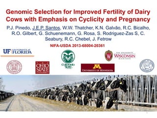 Genomic Selection for Improved Fertility of Dairy
Cows with Emphasis on Cyclicity and Pregnancy
P.J. Pinedo, J.E.P. Santos, W.W. Thatcher, K.N. Galvão, R.C. Bicalho,
R.O. Gilbert, G. Schuenemann, G. Rosa, S. Rodriguez-Zas S, C.
Seabury, R.C. Chebel, J. Fetrow
1
NIFA-USDA 2013-68004-20361
 
