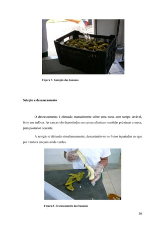 Figura 7- Enxágüe das bananas




Seleção e descascamento




         O descascamento é efetuado manualmente sobre uma mesa com tampo lavável,
feito em ardósia. As cascas são depositadas em caixas plásticas mantidas próximas a mesa,
para posterior descarte.

         A seleção é efetuada simultaneamente, descartando-se os frutos injuriados ou que
por ventura estejam ainda verdes.




                Figura 8- Descascamento das bananas

                                                                                      30
 