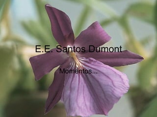 E.E. Santos Dumont Momentos... 