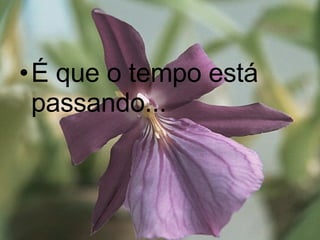 É que o tempo está passando... 