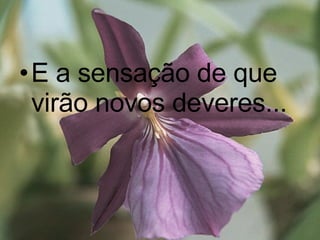 E a sensação de que virão novos deveres... 